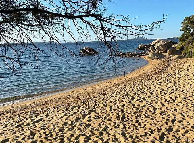 Sardinia Country 阿尔扎凯纳